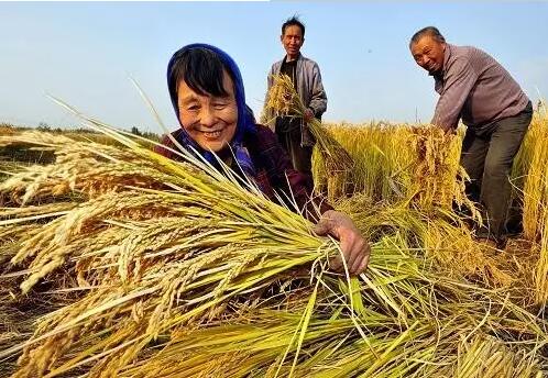 重磅！繼包產(chǎn)到戶之后，我國農(nóng)村又一次迎來重大改革