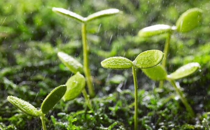 動態(tài) | 生物刺激劑多重效果大揭秘，可減少百萬噸氮肥的投入！